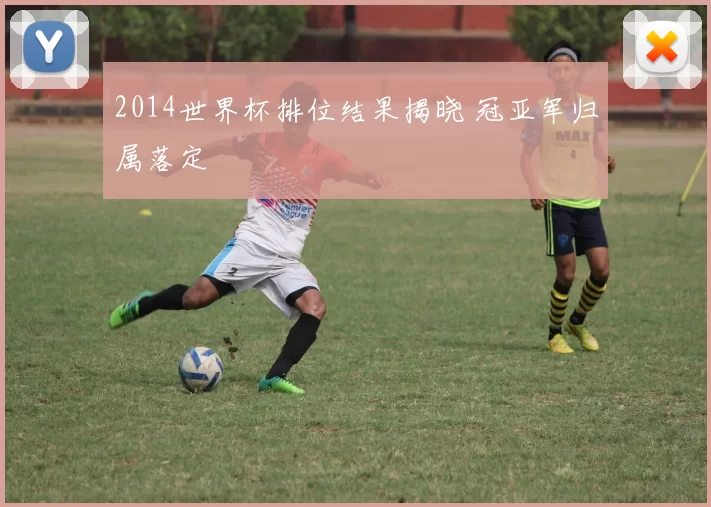 2014世界杯排位结果揭晓 冠亚军归属落定