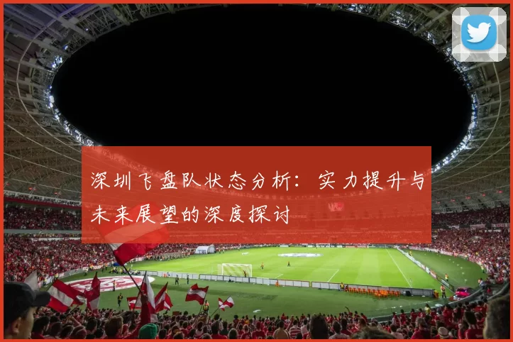 深圳飞盘队状态分析:实力提升与未来展望的深度探讨