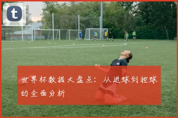 世界杯数据大盘点：从进球到控球的全面分析