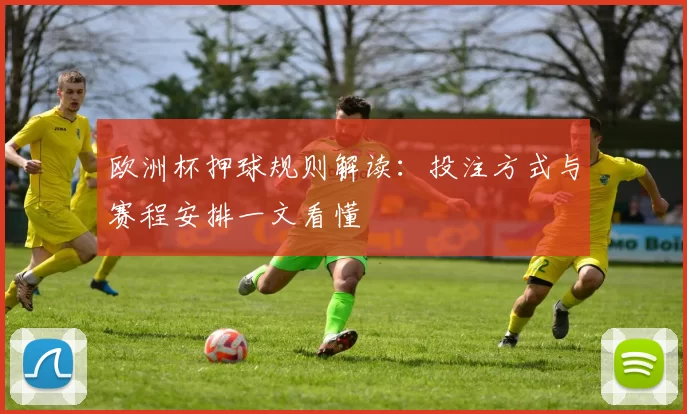 欧洲杯押球规则解读:投注方式与赛程安排一文看懂