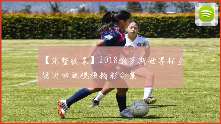 【完整收录】2018俄罗斯世界杯全场次回放视频精彩合集