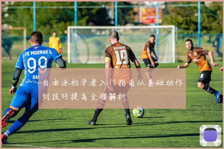 自由泳初学者入门指南从基础动作到技巧提高全程解析