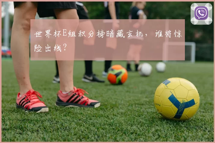 世界杯E组积分榜暗藏玄机,谁将惊险出线?